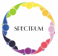 Spectrum charter school inc