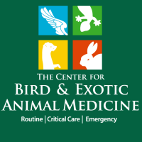 The center for bird and exotic animal medicine