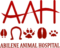 Abilene animal hospital pa
