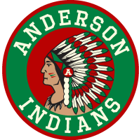 Anderson community television