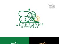 Alchemyne networks