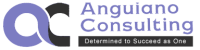 Anguiano consulting inc
