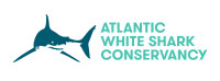 Atlantic white shark conservancy