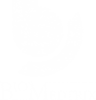 Biomedtrix, llc
