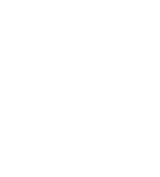 The borneo project