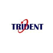 Trident Information Systems