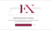 Cynex consulting