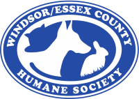 Essex County Animal Shelter and Control