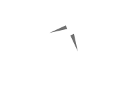Dasha designs