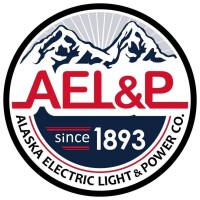 The electric light and power company