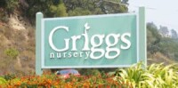 Griggs nursery