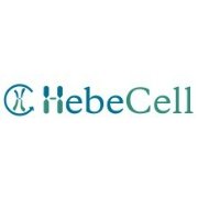 Hebecell corp
