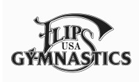 Flips gymnastics