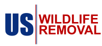 U.s. wildlife removal service