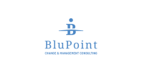 BluPoint Consulting