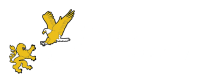 Kimmell cybersecurity and forensic services, llc