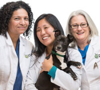 East Bay SPCA Spay and Neuter Clinic