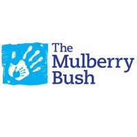The mulberry bush organisation ltd