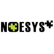 Noesys consulting