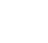 Magic flute productions