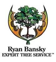 Ryan Bansky
