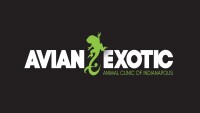Avian and exotic animal clinic