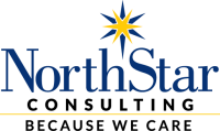 North star consulting