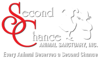 2nd chances animal sanctuary