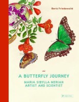 A butterfly's journey