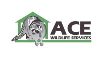 Ace wildlife control