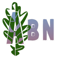 Abn consulting
