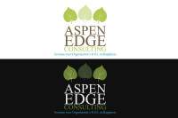 Aspen edge consulting, llc