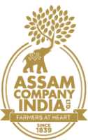 Assam company india limited