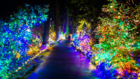The Grotto's "Festival of Lights"