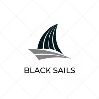 Black sails consulting
