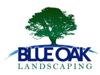 Blue oak landscape
