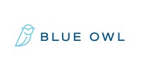 Blue owl consulting