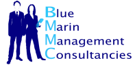 Blue marin management consultancies