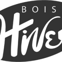 Boise hive