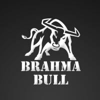 Brahma bull contracting
