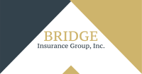 Bridge insurance group, inc.