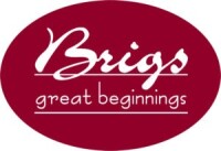 Brigs great beginnings