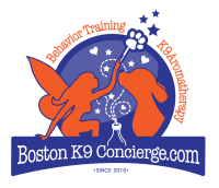 Boston K9 Concierge