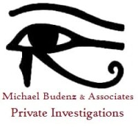 Michael budenz & associates, llc