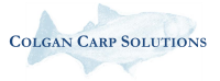 Carp solutions llc