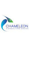 Chameleon consulting group llc