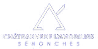 Agence chateauneuf immobilier
