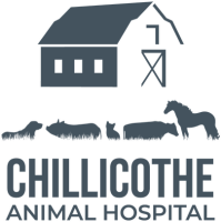 Chillicothe animal clinic