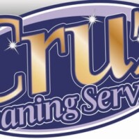 Cruz cleaning services ltd