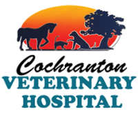 Cochranton veterinary hospital